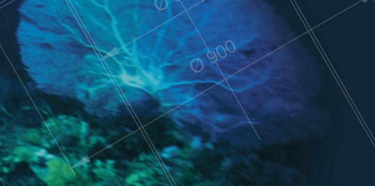 Escort - specjalizacja w podwodnych badaniach, pomiarach i monitoringu - GospodarkaMorska.pl