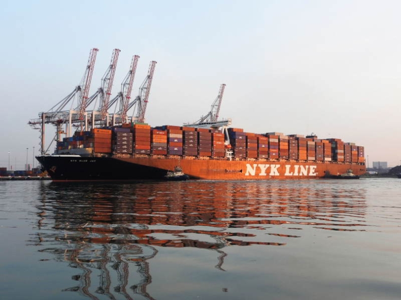 Najważniejsze statki 2016 roku: NYK Blue Jay - GospodarkaMorska.pl