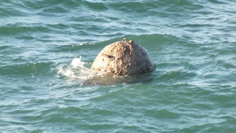 Niewybuch z czasów II wojny światowej znaleziony w pobliżu morskiej farmy wiatrowej - GospodarkaMorska.pl