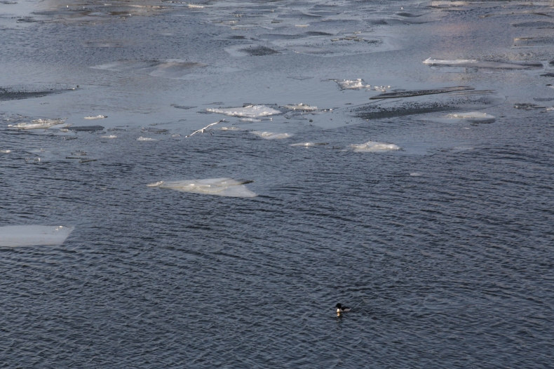 Konsutacje społeczne w sprawie Planu Gospodarowania Wodami - GospodarkaMorska.pl