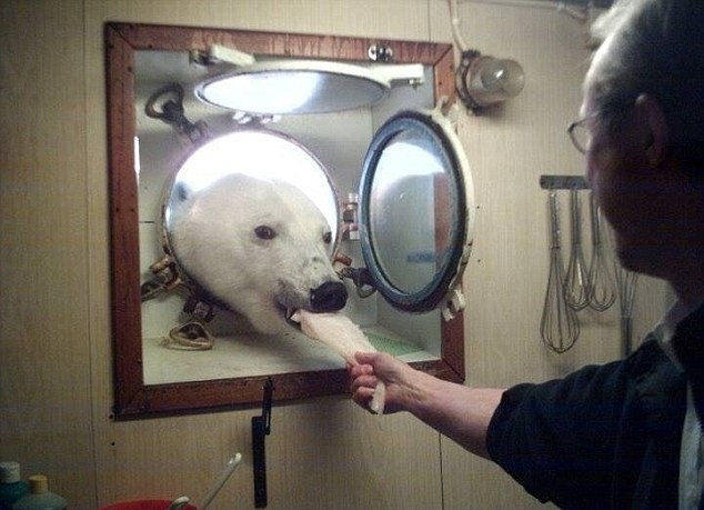 To zdjęcie robi furorę w sieci - GospodarkaMorska.pl