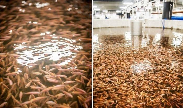 ARiMR: 5,7 mln zł na dopłaty do oprocentowania kredytów inwestycyjnych - GospodarkaMorska.pl