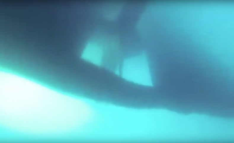 Aż ciarki przechodzą… (wideo) - GospodarkaMorska.pl