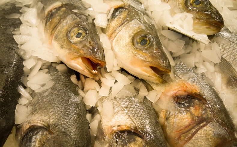 NIK o funkcjonowaniu centrów pierwszej sprzedaży ryb - GospodarkaMorska.pl