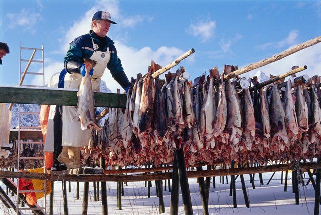 W Ustce i Darłowie powstanie nowa atrakcja turystyczna - Targi Rybne - GospodarkaMorska.pl