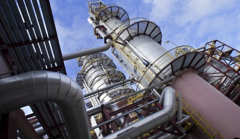 W PKN Orlen ryby pomagają w oczyszczaniu wody - GospodarkaMorska.pl