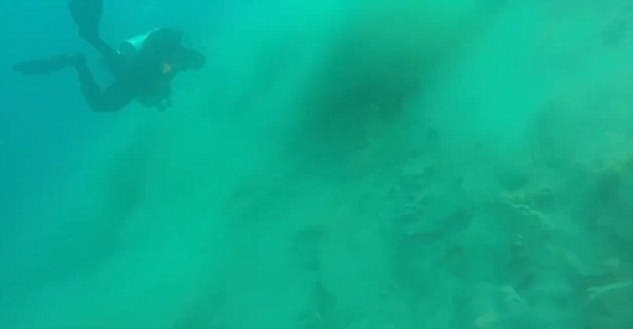 Tak wygląda podwodne trzęsienie ziemi (wideo) - GospodarkaMorska.pl