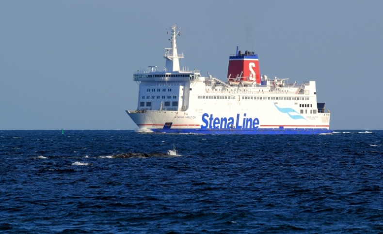Stena Line poszukuje portu alternatywnego dla Varberga - GospodarkaMorska.pl