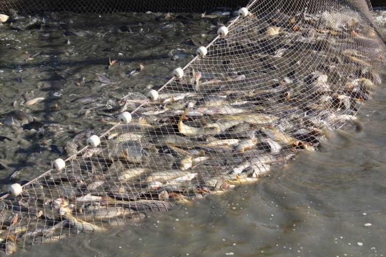 Podlaskie: Prawie 6 mln zł z UE z grupy rybackiej dla firm czy gmin - GospodarkaMorska.pl