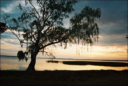 Białoruś: Otwarcie polskiej szkółki żeglarskiej nad jeziorem Drywiaty - GospodarkaMorska.pl