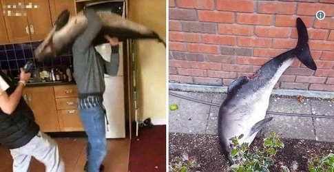 Szokujące zdjęcia z imprezy studenckiej - GospodarkaMorska.pl