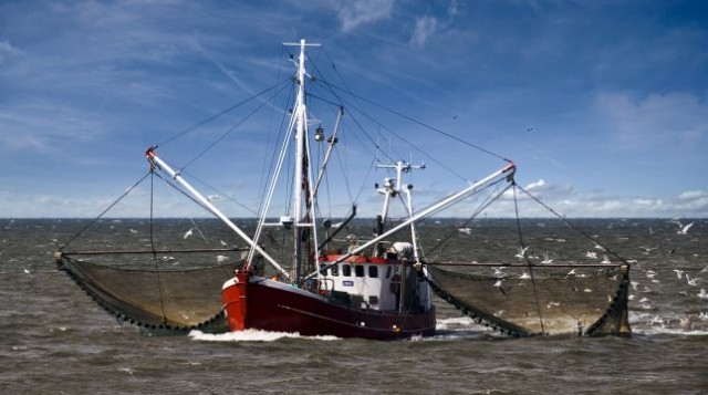 Raport ETO: W UE nadal brak skutecznego systemu kontroli rybołówstwa - GospodarkaMorska.pl