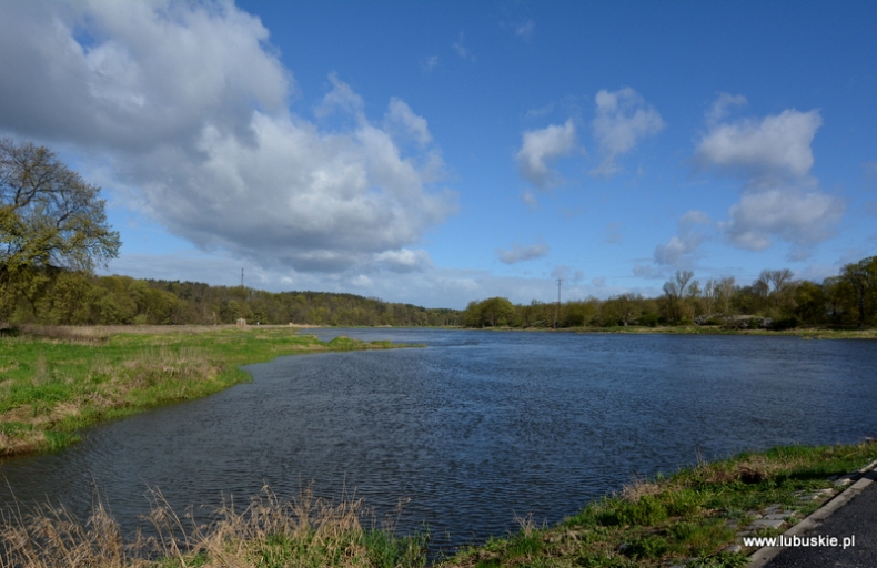 10 firm chce wybudować most na Odrze w Milsku i odcinek drogi nr 282 - GospodarkaMorska.pl