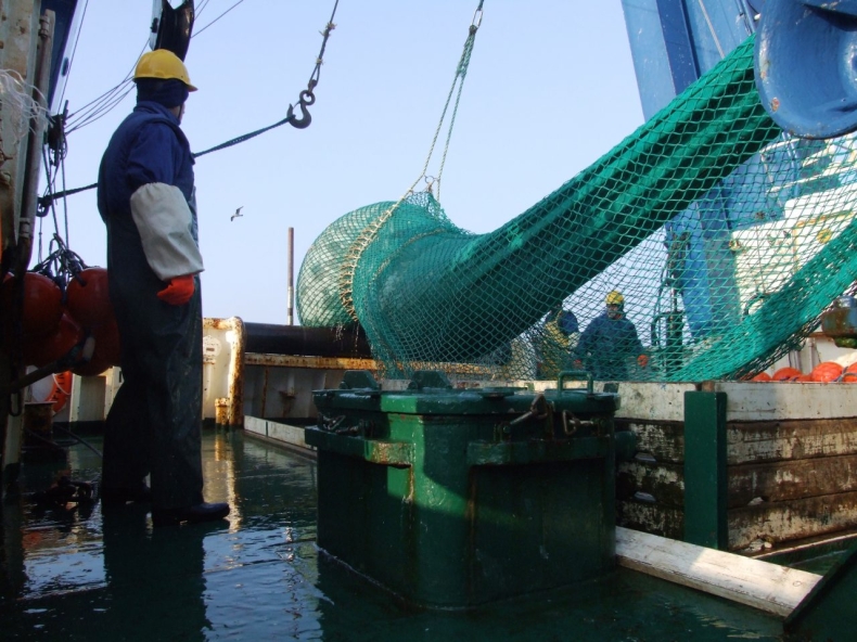 Stan zasobów ryb Bałtyku i zalecane przez ICES dopuszczalne połowy (TAC) w 2018 roku - GospodarkaMorska.pl