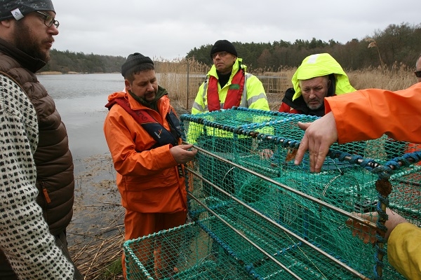 Czym łowić ryby, gdy obok czyha foka, czyli – szwedzkie doświadczenia okiem polskich rybaków - GospodarkaMorska.pl