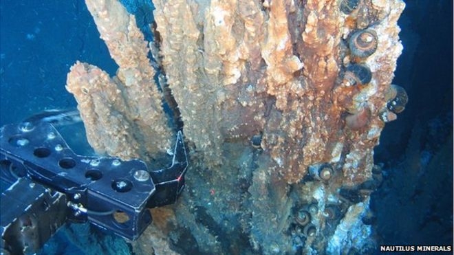 39 organizacji pozarządowych z całego świata wzywa do zaprzestania górnictwa głębinowego - GospodarkaMorska.pl