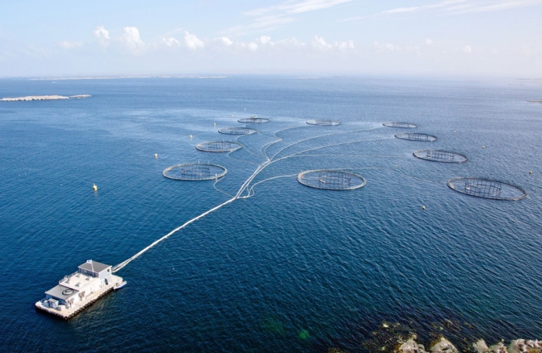 Akwakultura – Biznes i Technologia – nowy kierunek studiów na Uniwersytecie Gdańskim - GospodarkaMorska.pl