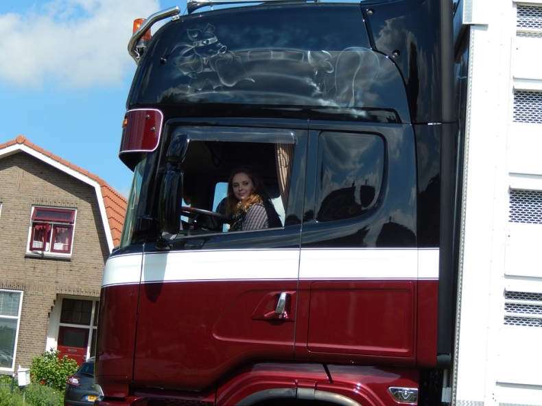 Adamczyk: Nie robi się nic, by zwiększyć bezpieczeństwo kierowców - GospodarkaMorska.pl