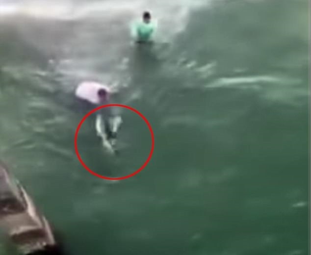 Tej lekcji szybko nie zapomni (wideo) - GospodarkaMorska.pl