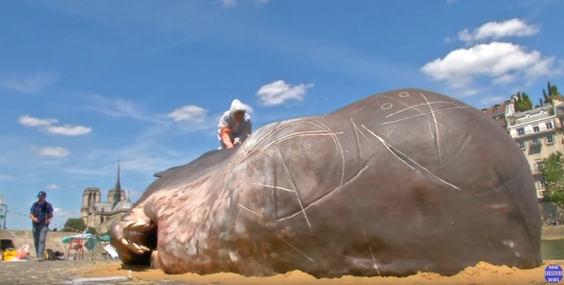 Gigant nad Sekwaną. Przechodnie zszokowani (wideo) - GospodarkaMorska.pl