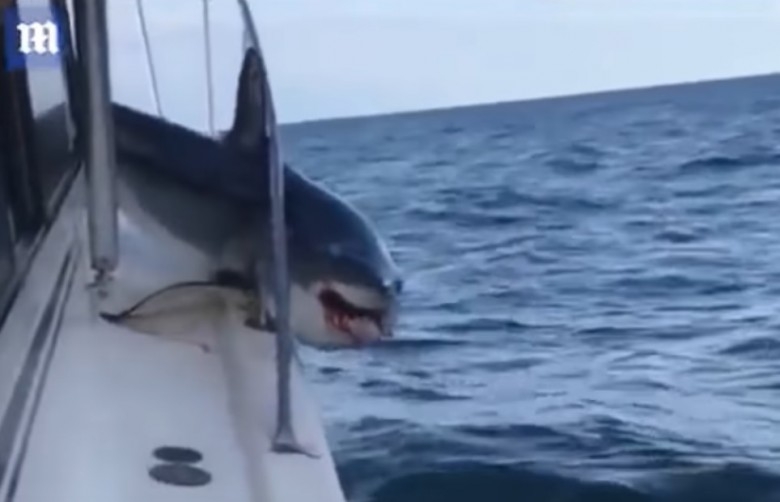 Na szczęście się udało (wideo) - GospodarkaMorska.pl