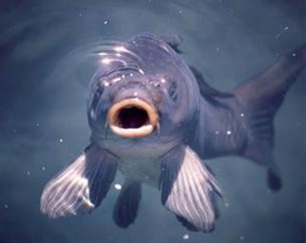 Przygodzice. Kolejne rozmowy dotyczące rekompensat wodno-środowiskowych - GospodarkaMorska.pl