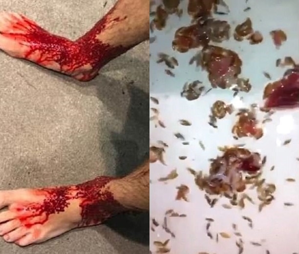 Poszedł wymoczyć nogi przy brzegu (wideo) - GospodarkaMorska.pl