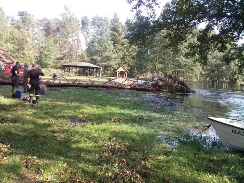 Sytuacja na Brdzie po nawałnicy - GospodarkaMorska.pl
