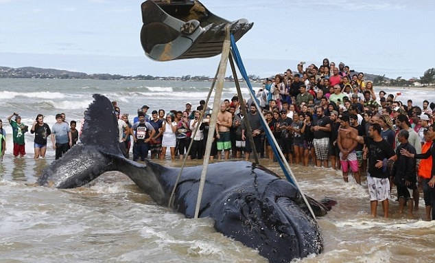 Niektórzy płakali ze wzruszenia (wideo) - GospodarkaMorska.pl