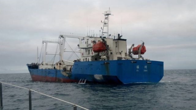 Ekwador: Chińscy rybacy skazani za połów chronionych rekinów - GospodarkaMorska.pl