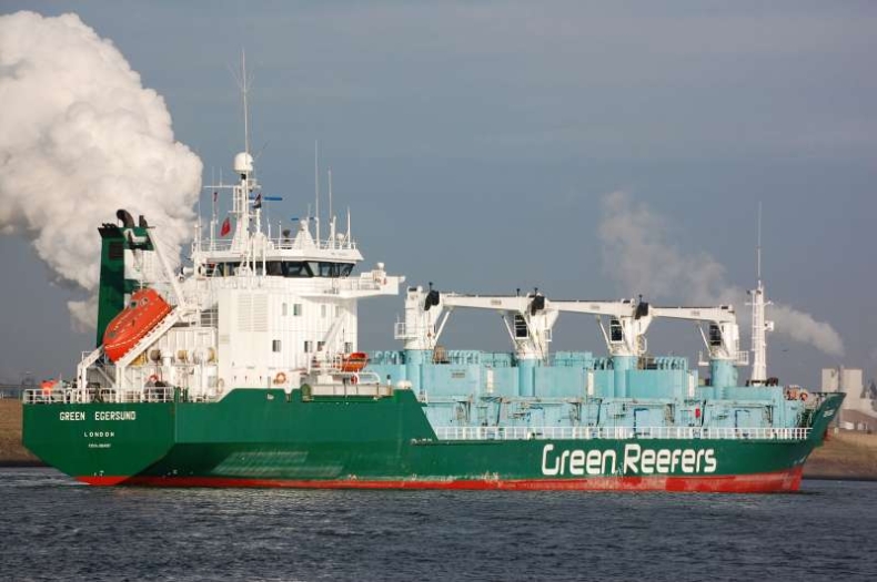 3 tys. ton drobiu w gdyńskim porcie - GospodarkaMorska.pl