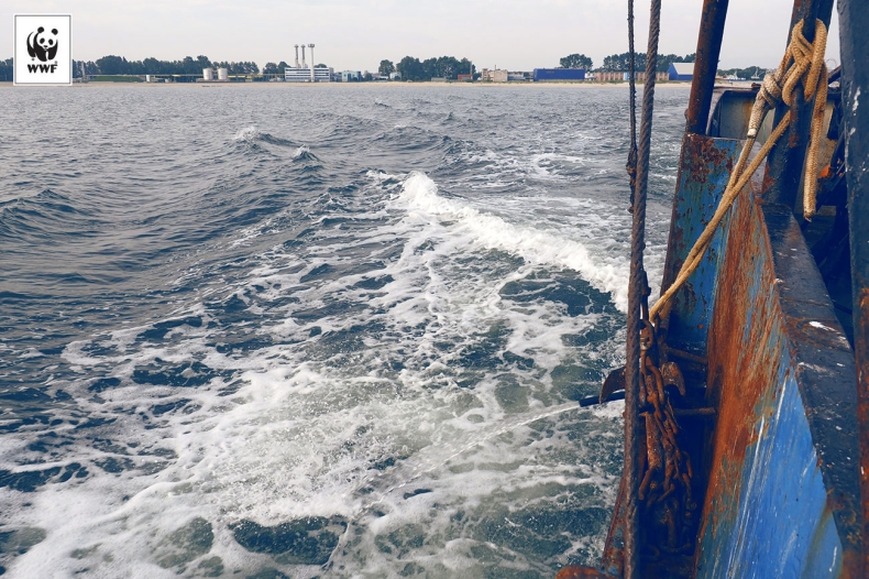 Jedno z najpoważniejszych zagrożeń na Bałtyku - GospodarkaMorska.pl