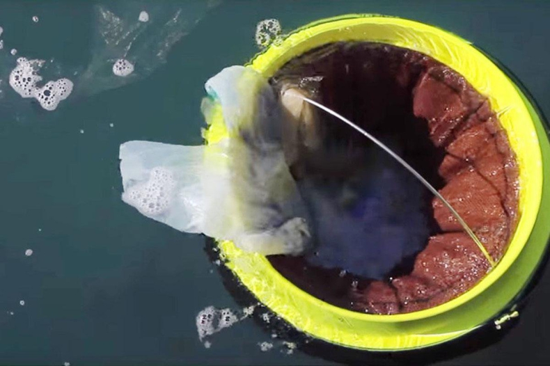 Do 2050 r. oceany będą zawierały więcej plastiku niż ryb (wideo) - GospodarkaMorska.pl