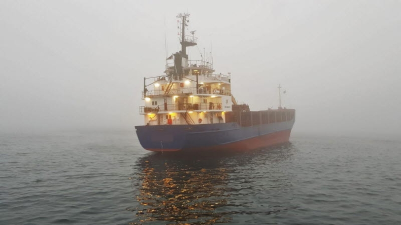 Masowiec utknął na mieliźnie przy wybrzeżu Szwecji (foto) - GospodarkaMorska.pl