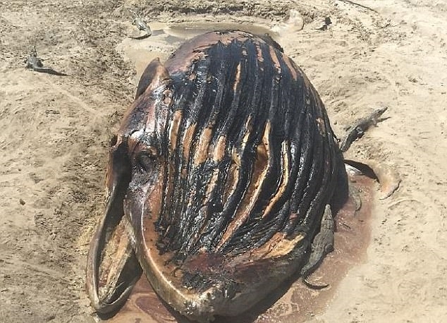 To nie będzie postny posiłek - GospodarkaMorska.pl