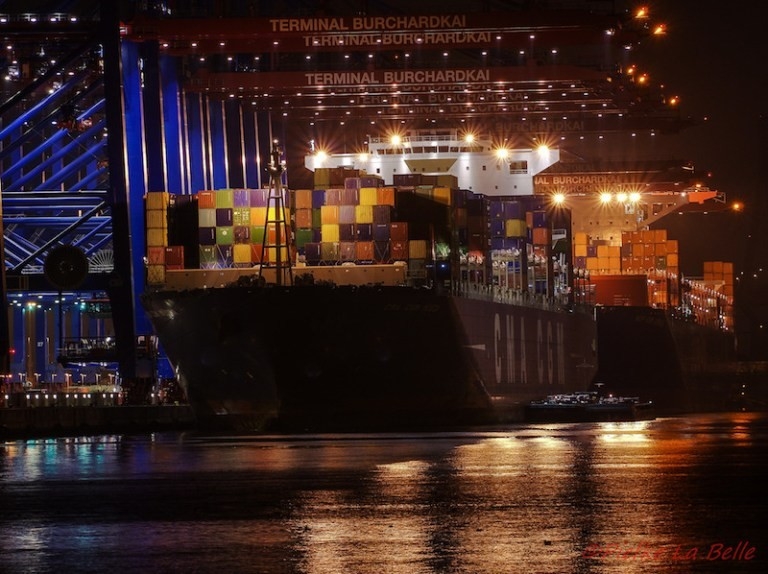 CMA CGM będzie współpracował z gigantem rynku e-commerce - GospodarkaMorska.pl