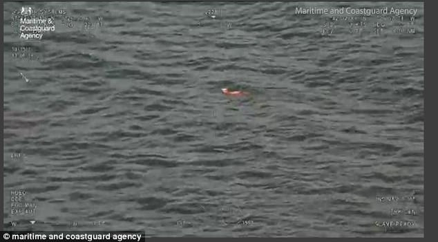 Dramatyczna akcja ratownicza i najszczęśliwszy pies na świecie (wideo) - GospodarkaMorska.pl