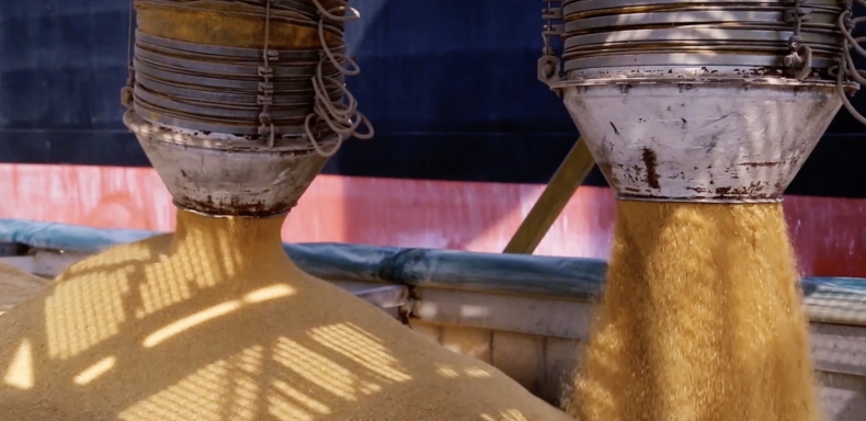 6,4 mln ton ziarna wyeksportowała Polska w sezonie 2016/2017 - GospodarkaMorska.pl