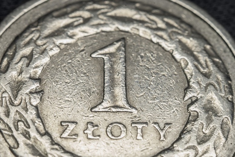 Złoty może przestać umacniać się wobec euro w najbliższych dniach - GospodarkaMorska.pl