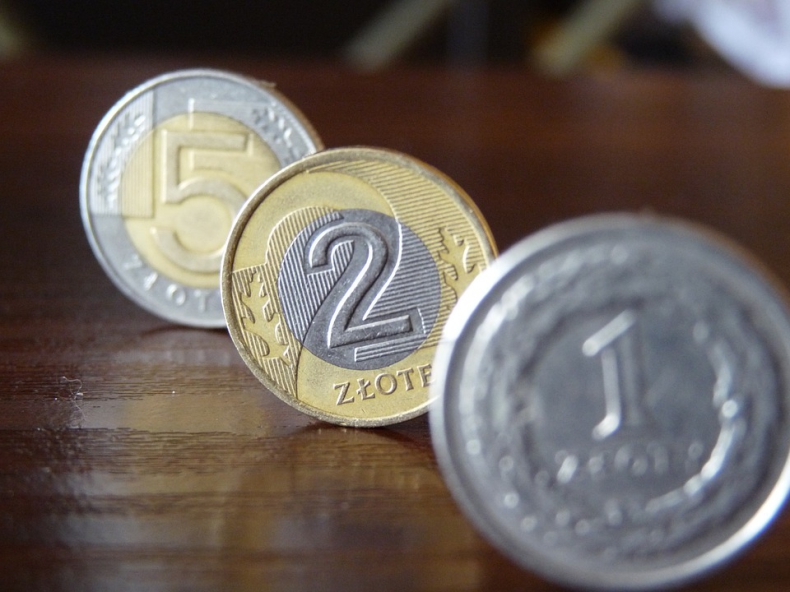 Eurozłoty może wzrosnąć; rentowność 5- i 10-latek w górę - GospodarkaMorska.pl