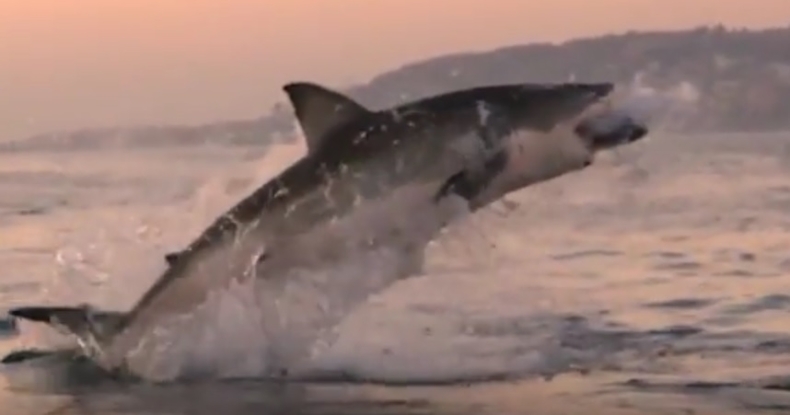 Spektakularne nagranie (wideo) - GospodarkaMorska.pl