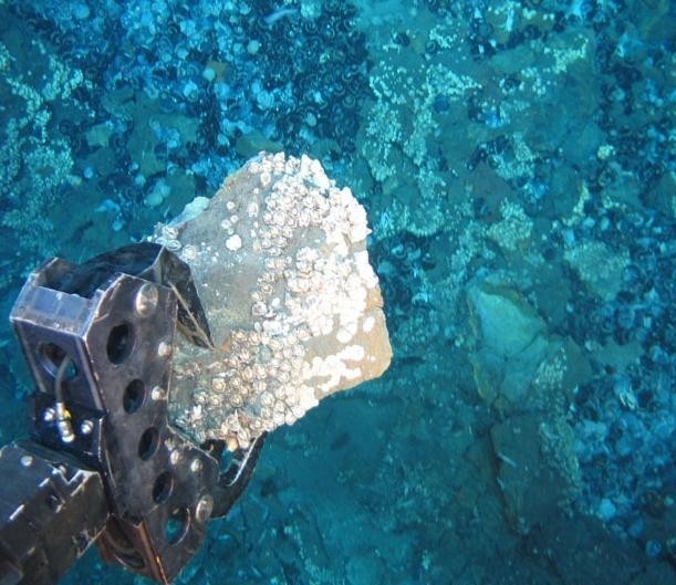 MŚ: w ciągu 10 lat będziemy w stanie eksploatować dno Atlantyku - GospodarkaMorska.pl