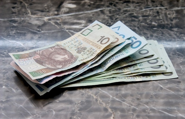 Euro rośnie na fali wzrostu niemieckiego PKB - GospodarkaMorska.pl
