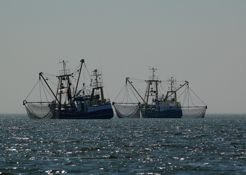 PE: Europosłowie poparli przepisy ograniczające metody połowu ryb - GospodarkaMorska.pl