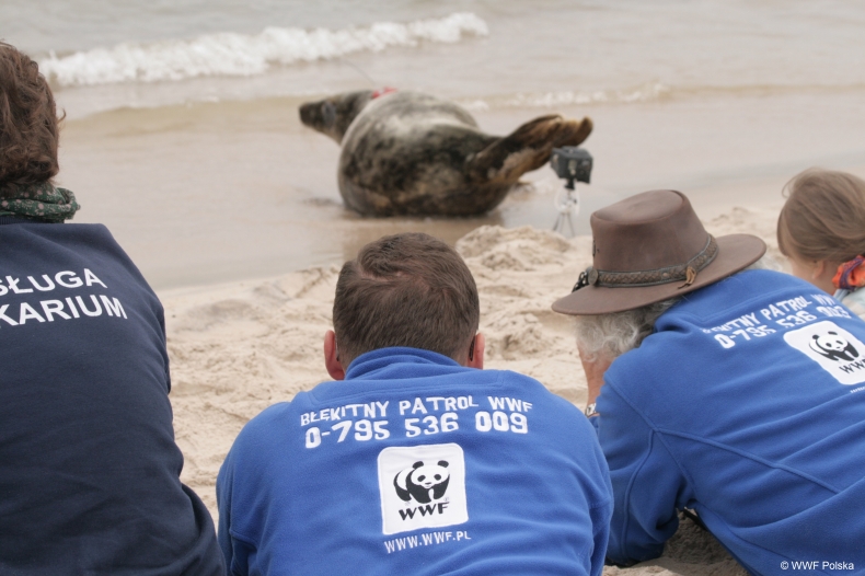 Wolontariusze Błękitnego Patrolu WWF obchodzą swoje święto - GospodarkaMorska.pl