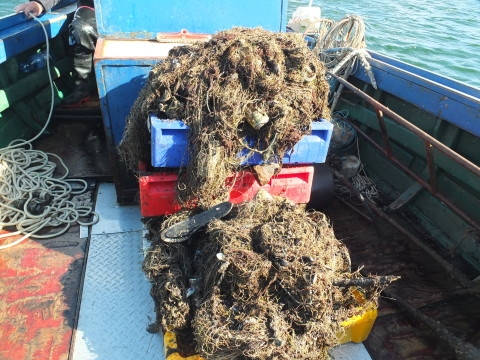 Projekt „Czysty Bałtyk”: gdy ochrona środowiska idzie w parze z poprawą sytuacji ekonomicznej - GospodarkaMorska.pl