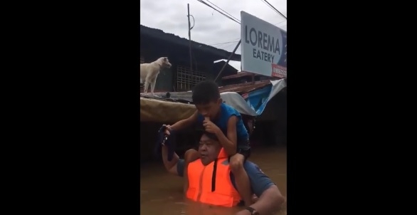 Do 133 wzrosła liczba ofiar śmiertelnych burzy tropikalnej - GospodarkaMorska.pl