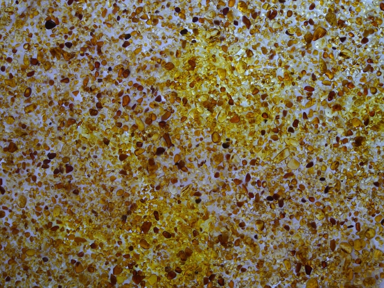 Resort środowiska chce większych kar za nielegalne wydobycie bursztynu - GospodarkaMorska.pl