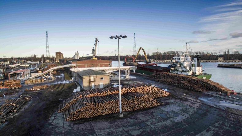 Drewno po ostatniej nawałnicy przez Port Gdańsk trafia do Skandynawii i Europy Zachodniej (foto, wideo) - GospodarkaMorska.pl