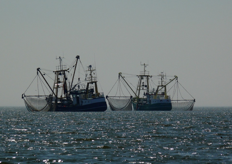 MSC wprowadza nowe wymogi dotyczące oceny rybołówstwa - GospodarkaMorska.pl